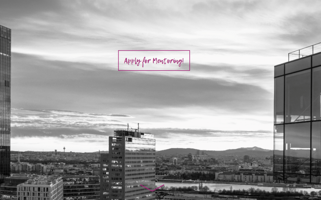 Female Founders Mentoring Programm