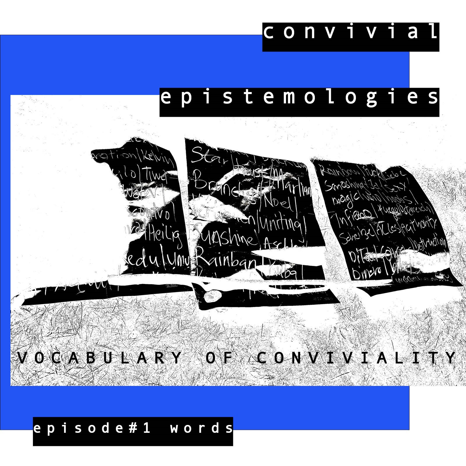 Vocabulary of Conviviality